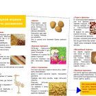 Буклет (pdf.jpg